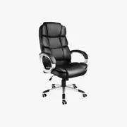 Directiestoelen