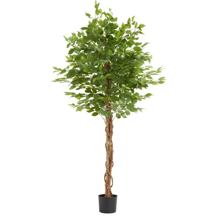 Kunst ficusboom Fida