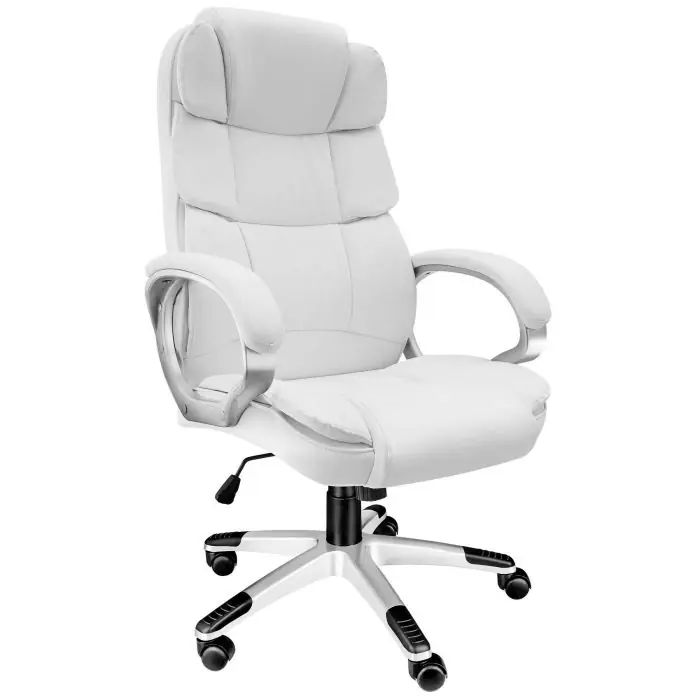 Fauteuil de direction bureau accoudoirs bois JONAS